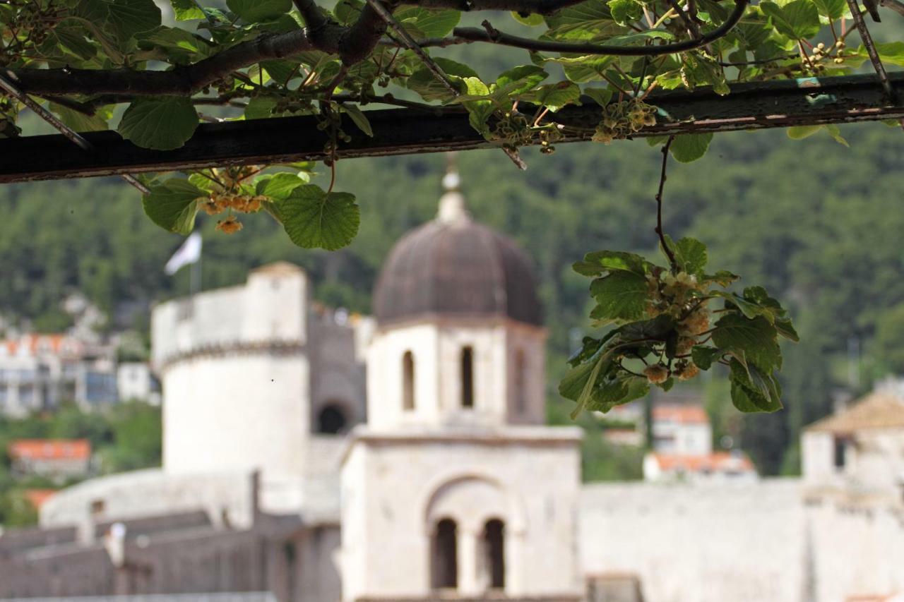 Old Town Garden Apartments Dubrovnik Exterior foto